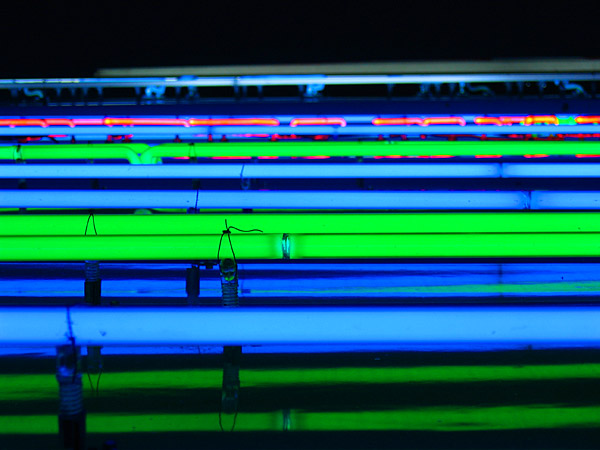 Neon Tubes in Orlando, Florida, winter 2005